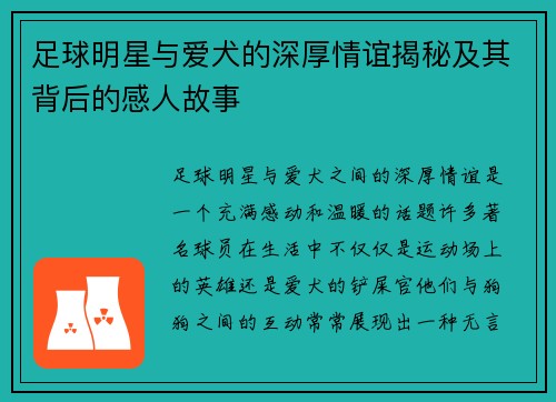 足球明星与爱犬的深厚情谊揭秘及其背后的感人故事